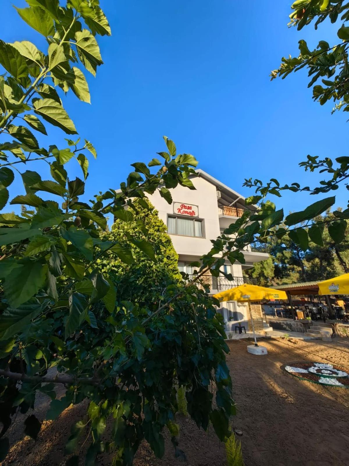 Pasa Konagi Ayvalik Hotel Ngoại thất bức ảnh